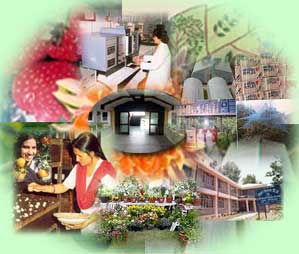 कार्यक्रम-और-योजनाएं