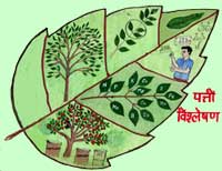 पत्ती-विश्लेषण